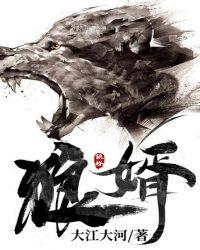 狼婿下山全集免费完整版