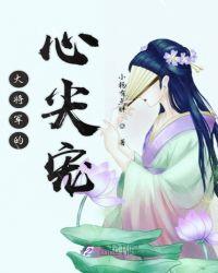 大将军的心尖宠免