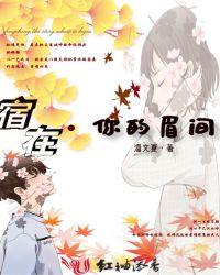 你在我眉间心上书籍